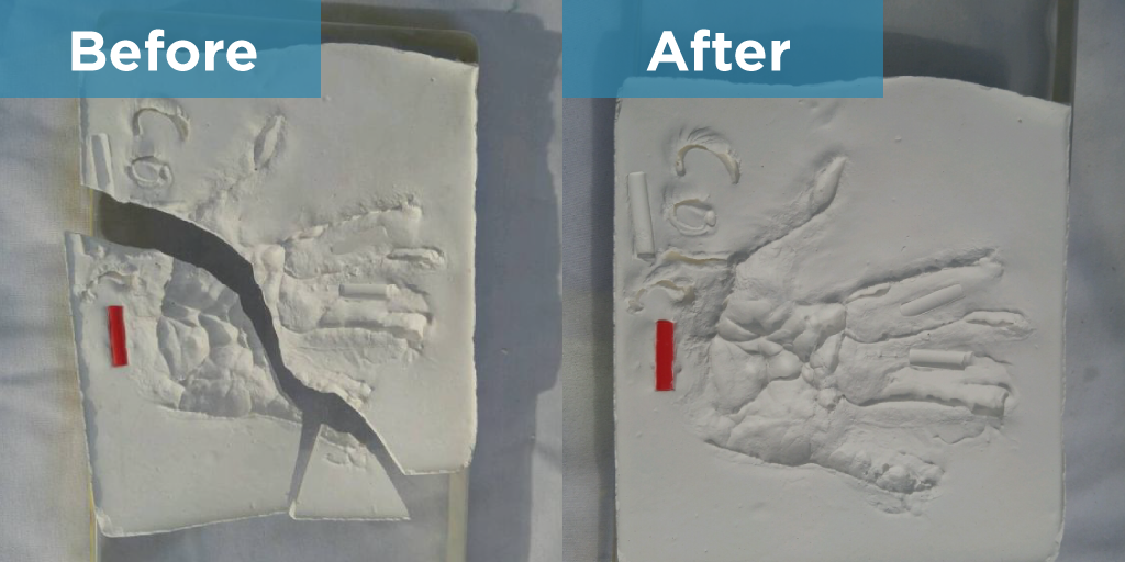 Moving-and-Transportaion-1